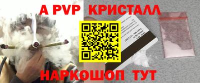 кокс Кудрово
